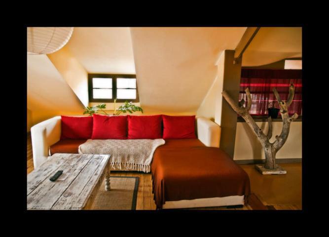 A La Maison La Paz Room photo